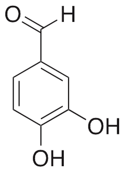 Protocatechuic Aldehyde