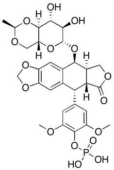 Etoposide Phosphate