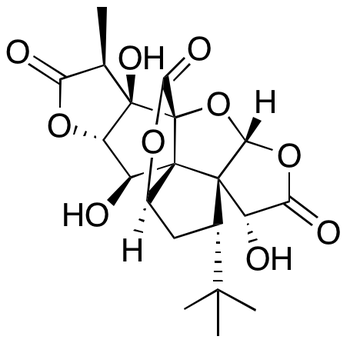 Ginkgolide B