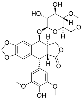 Etoposide