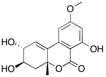 Altenuene