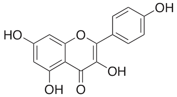 Kaempferol