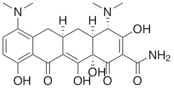 Minocycline Hydrochloride