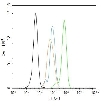 Phospho-Histone H1.4 (Thr18) Rabbit Polyclonal Antibody
