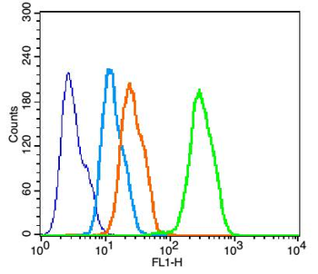 Adiponectin receptor 2 Rabbit Polyclonal Antibody