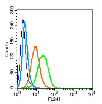 MSR1 Rabbit Polyclonal Antibody