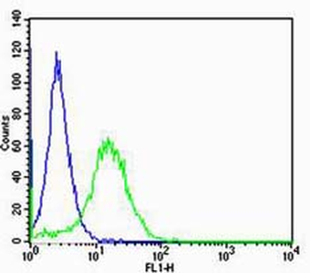RAGE Rabbit Polyclonal Antibody