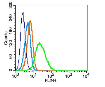 BST1 Rabbit Polyclonal Antibody