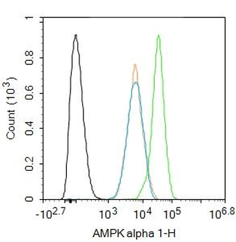 AMPK alpha 1 Rabbit Polyclonal Antibody