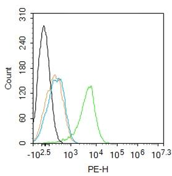 Porimin Rabbit Polyclonal Antibody
