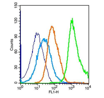TUSC1 Rabbit Polyclonal Antibody
