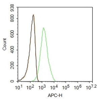 Sidekick 1 Rabbit Polyclonal Antibody (Cy5.5)