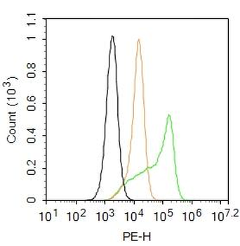 ATP7A Rabbit Polyclonal Antibody