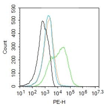 FAP Rabbit Polyclonal Antibody