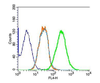NARG2 Rabbit Polyclonal Antibody
