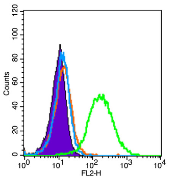 Bad Rabbit Polyclonal Antibody