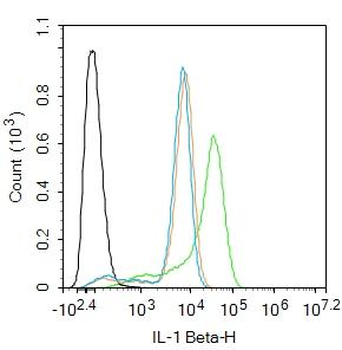 IL-1 Beta Rabbit Polyclonal Antibody