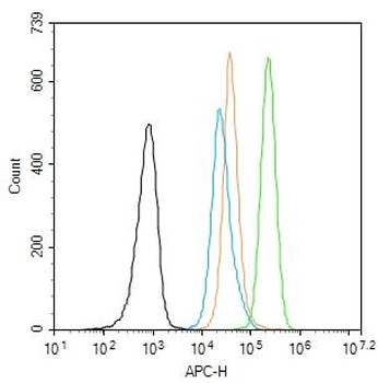 BCL2L1 Rabbit Polyclonal Antibody