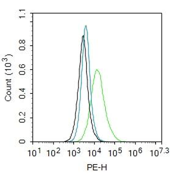 Hyaluronidase3 Rabbit Polyclonal Antibody