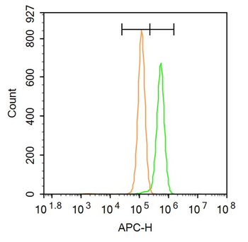 DAB2 Rabbit Polyclonal Antibody