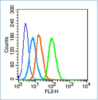 Bid Rabbit Polyclonal Antibody