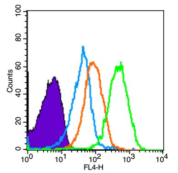 BRCA1 Rabbit Polyclonal Antibody
