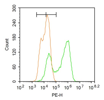 SMARCA4 Rabbit Polyclonal Antibody