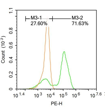 NDRG1 Rabbit Polyclonal Antibody