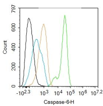 Caspase-6 Rabbit Polyclonal Antibody