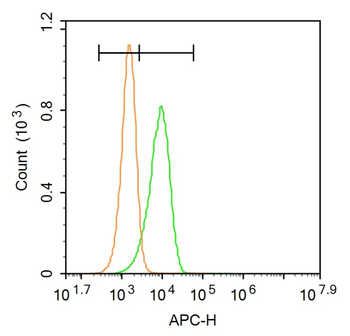 CASPR Rabbit Polyclonal Antibody