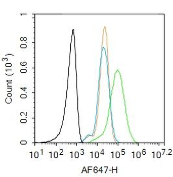CXCL10/IP10 Rabbit Polyclonal Antibody