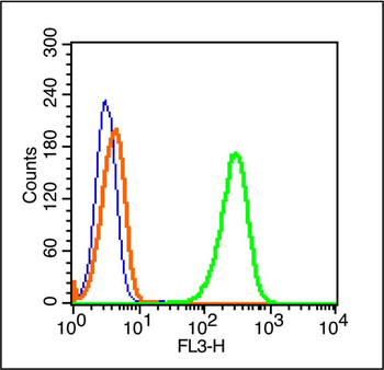 ICAM1 Rabbit Polyclonal Antibody