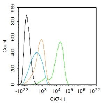 CK7 Rabbit Polyclonal Antibody