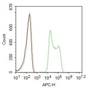 Histone H3 (Di Methyl K36) Rabbit Polyclonal Antibody (Cy5.5)
