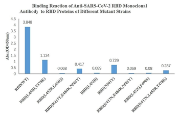 SARS-CoV-2 (2019-nCoV) Spike Neutralizing Mouse Monoclonal Antibody
