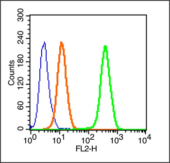 Cytokeratin 1 Rabbit Polyclonal Antibody