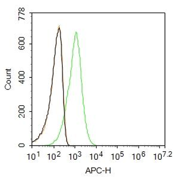ABCG1 Rabbit Polyclonal Antibody (Cy5.5)