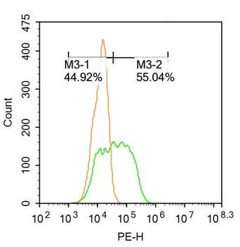 HPV16 E7 Rabbit Polyclonal Antibody