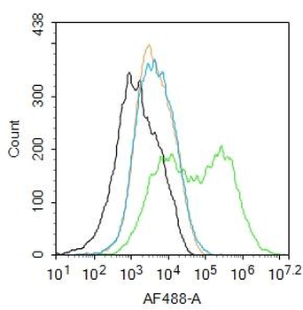 EGF Rabbit Polyclonal Antibody