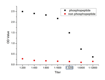 Phospho-CD19 (Tyr531) Rabbit Polyclonal Antibody