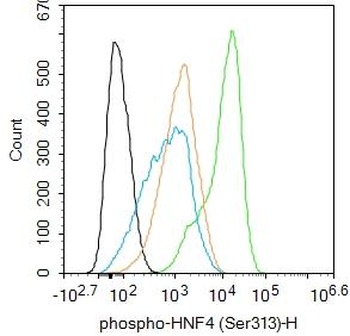 HNF4 (phospho-Ser313) antibody