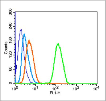 Phospho-Histone H3 (Ser10) Rabbit Polyclonal Antibody