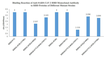SARS-CoV-2 (2019-nCoV) Spike RBD (WT & Omicron) Mouse Monoclonal Antibody