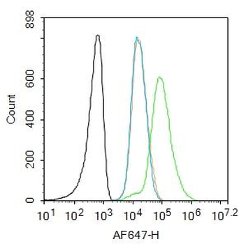 Galectin 9 Rabbit Polyclonal Antibody