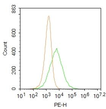 ABCA7 Rabbit Polyclonal Antibody