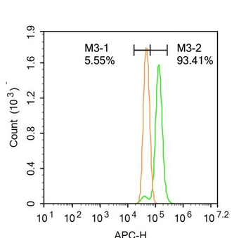 GRP94 Rabbit Polyclonal Antibody