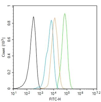IDE Mouse Polyclonal Antibody