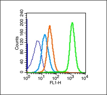 IL12A Rabbit Polyclonal Antibody
