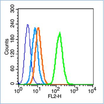 Insulin Receptor alpha Rabbit Polyclonal Antibody