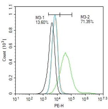 MBP Rabbit Polyclonal Antibody